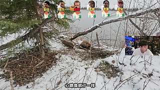 轰轰：希望你每天开心~