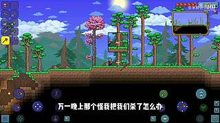 充满沙雕气息的直播间