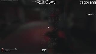 巴克什野鸡护