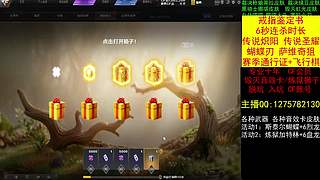 体验服新版本/专业十年/CF点/通行证