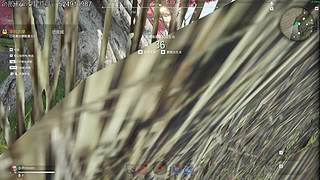 云顶教父回归 从零单排上大师先