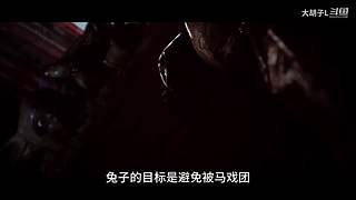 打 游 戏 274365