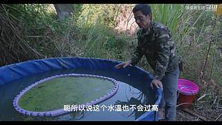 娱乐大于一切 10440627
