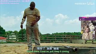 布布：谁还有钱
