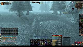 魔兽世界经典60级哈霍兰