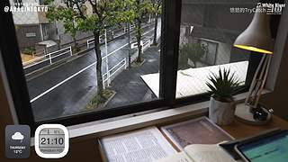 重生之奋发涂墙
