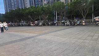 小金小金小金