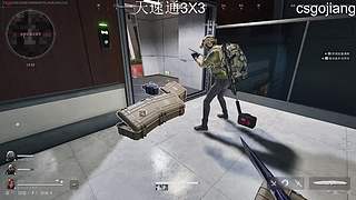 巴克什野鸡护