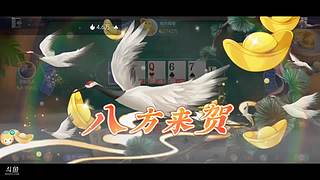八雀狗都不玩！！！！