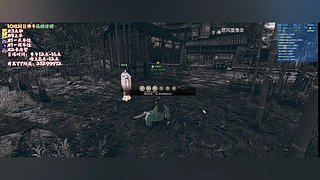 入坑半个月的萌新主播