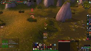 魔兽世界经典60级哈霍兰