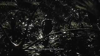 主播推荐 商品橱窗 求关注 刷刷小礼物