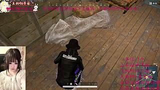 奶喵喵OvO假期去哪里 我在PUBG等你