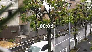 重生之奋发涂墙