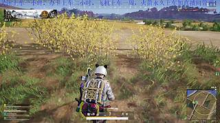 职业跳伞！