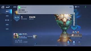 Foho电竞王者战队