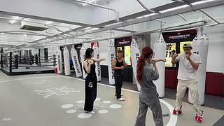 检疫合格 允许出栏