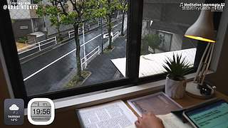 重生之奋发涂墙
