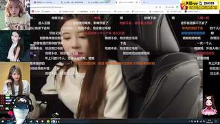 熊掌主播祝大家财运亨通
