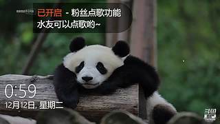 南风旧人10075062