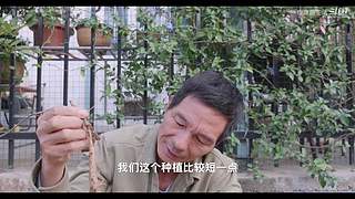 娱乐大于一切 10440627