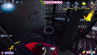 先知役鸟挡刀保调香师溜鬼