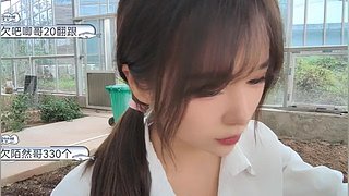 梦想小院幸运的一天（11点开）