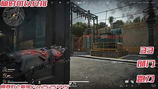 鼠鼠聚集地