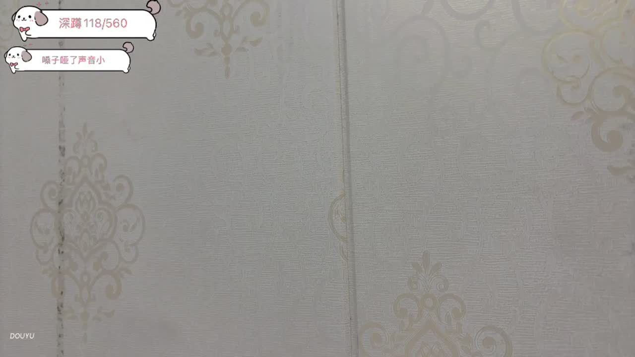 熊掌新人开播，寻找天使投资人