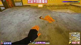 pubg 绝地求生 在线对局