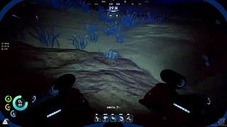 Subnautica2:异星水域!