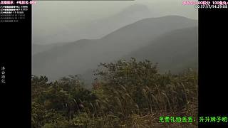 ❤️怡宝❤️陪你重刷【精彩热剧】