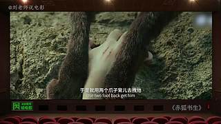 【刘老师】每天爆笑解说不断