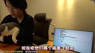 【轮播】煮鸡时刻 再看亿集