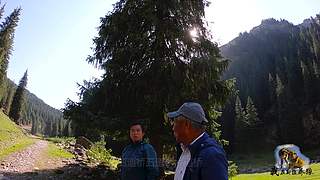 【狼王出没】欢迎围观我的新疆养狼日常！