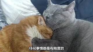 【悬疑】古今中外犯罪录