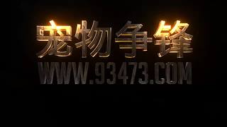 石器时代，石器EE不停歇的脚步