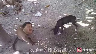良心监狱长