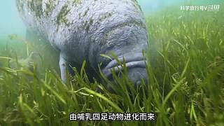 带你科学旅行~