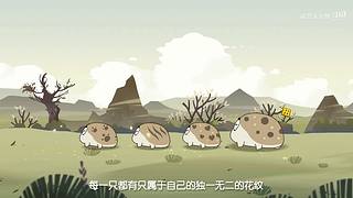 摩登大自然开播哦