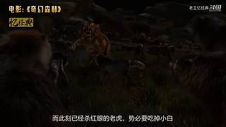 【老王】经典电影看不停