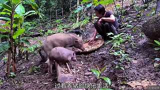 越南小哥的丛林生活