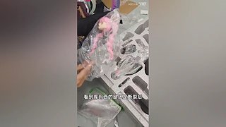 带你一起逛秋叶原