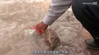 老刘带你看大片