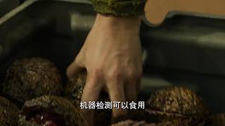 花姐的直播间 4058285