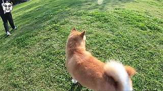 鐵牛杰哥的直播间