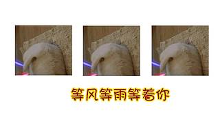 探案解说中