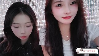 熊掌智多星在此