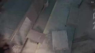 各种游戏大乱炖