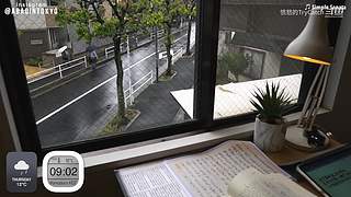 重生之奋发涂墙
